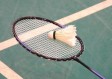 尤尼克斯羽毛球排行榜，2025年度最值得入手的球拍与装备全解析
