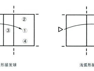 从零开始，排球发球初学者入门指南