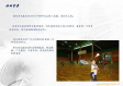 羽毛球比赛规则PPT课件制作指南，从新手到裁判的必备宝典