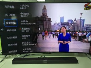 CCTV5在线直播观看，正在直播，体育盛宴触手可及