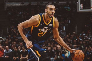 戈贝尔1换10，一场豪赌背后的NBA交易逻辑深度解析