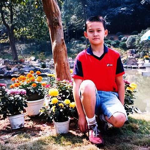孙杨缺席东京奥运,禁赛风波背后的真相与遗憾 孙杨缺席东京奥运,禁赛风波背后的真相与遗憾