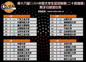 2026年欧洲篮球赛程全面解析，豪门争霸，硝烟再起