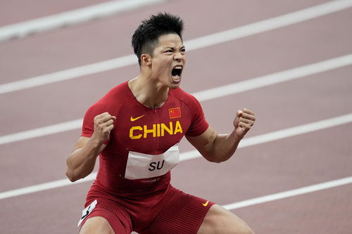 东京奥运会，苏炳添拿金牌了吗？