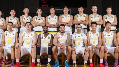 CBA辽宁队阵容深度解析，王者之师的夺冠基因与未来隐忧