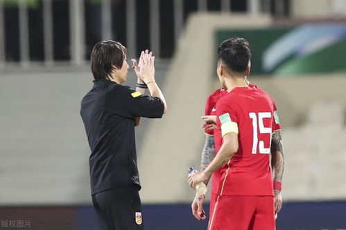 这是一篇为您准备的关于2026世界杯举办国的文章